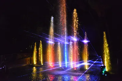 DSC_7064 (Large).JPG